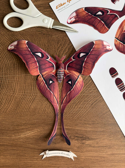 DIY Paper Hercules Moth Template, Large Paper butterfy Pattern
