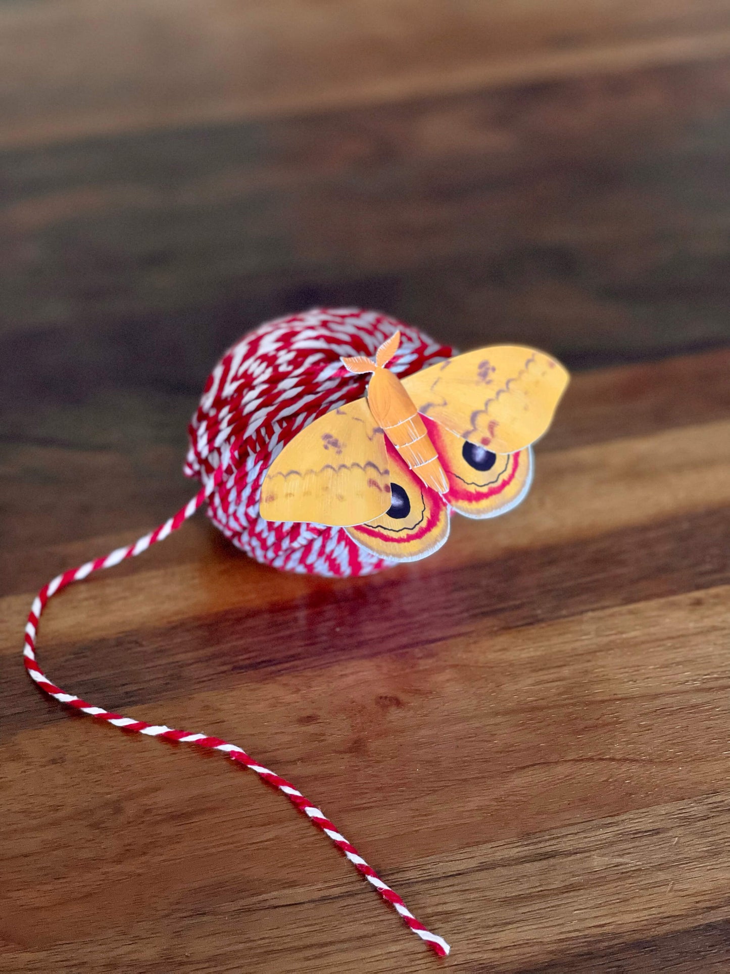 DIY Paper Io moth on a Thread ball 