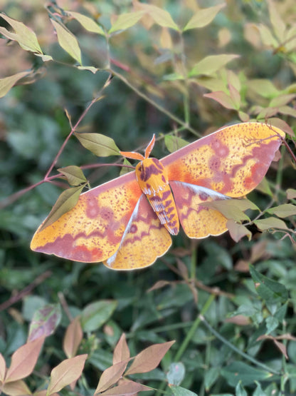 DIY Paper Imperial Moth on green leaves