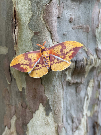 DIY Paper Imperial Moth on a tree trunk
