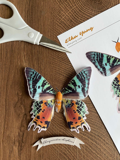 DIY Paper Madagascan Sunset Moth
