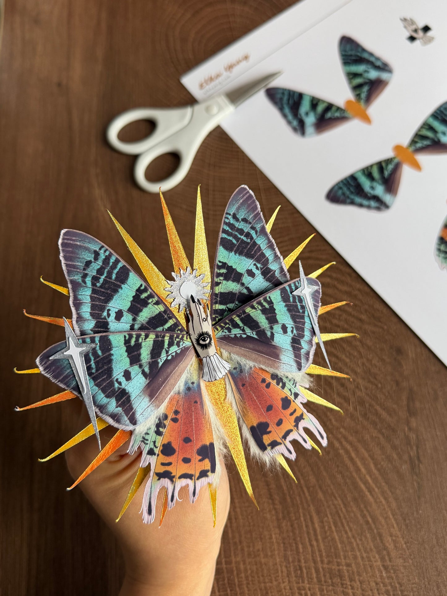 Madagascar Ray, Fantasy Paper Moth ased on Madagascan Sunset Moth