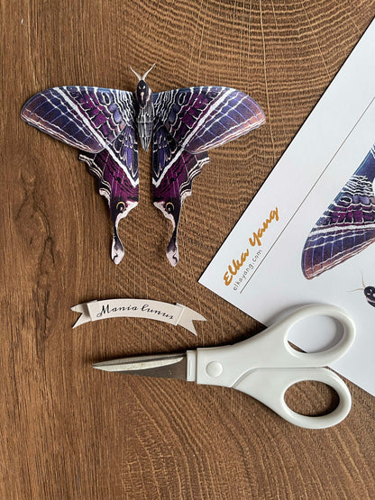 DIY Paper Moon Eyetail Moth
