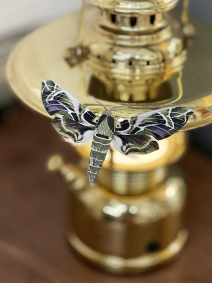 Paper Moth, Paper Oleander Hawk-moth, aka the Army Green Hawkmoth, staying on a camping lantern, big green moth