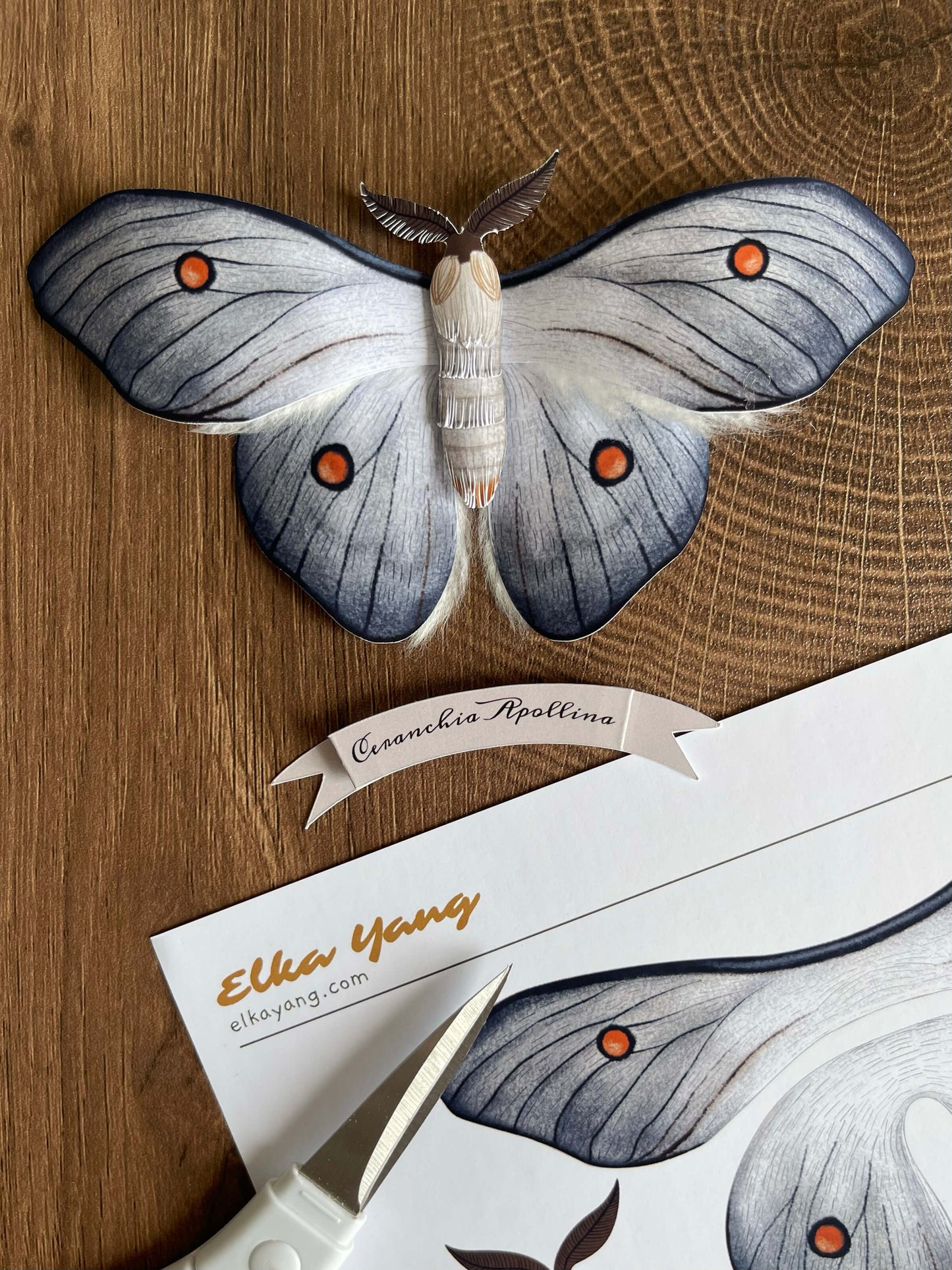 Paper Carft Ghostly Silkmoth Template and Tutorial