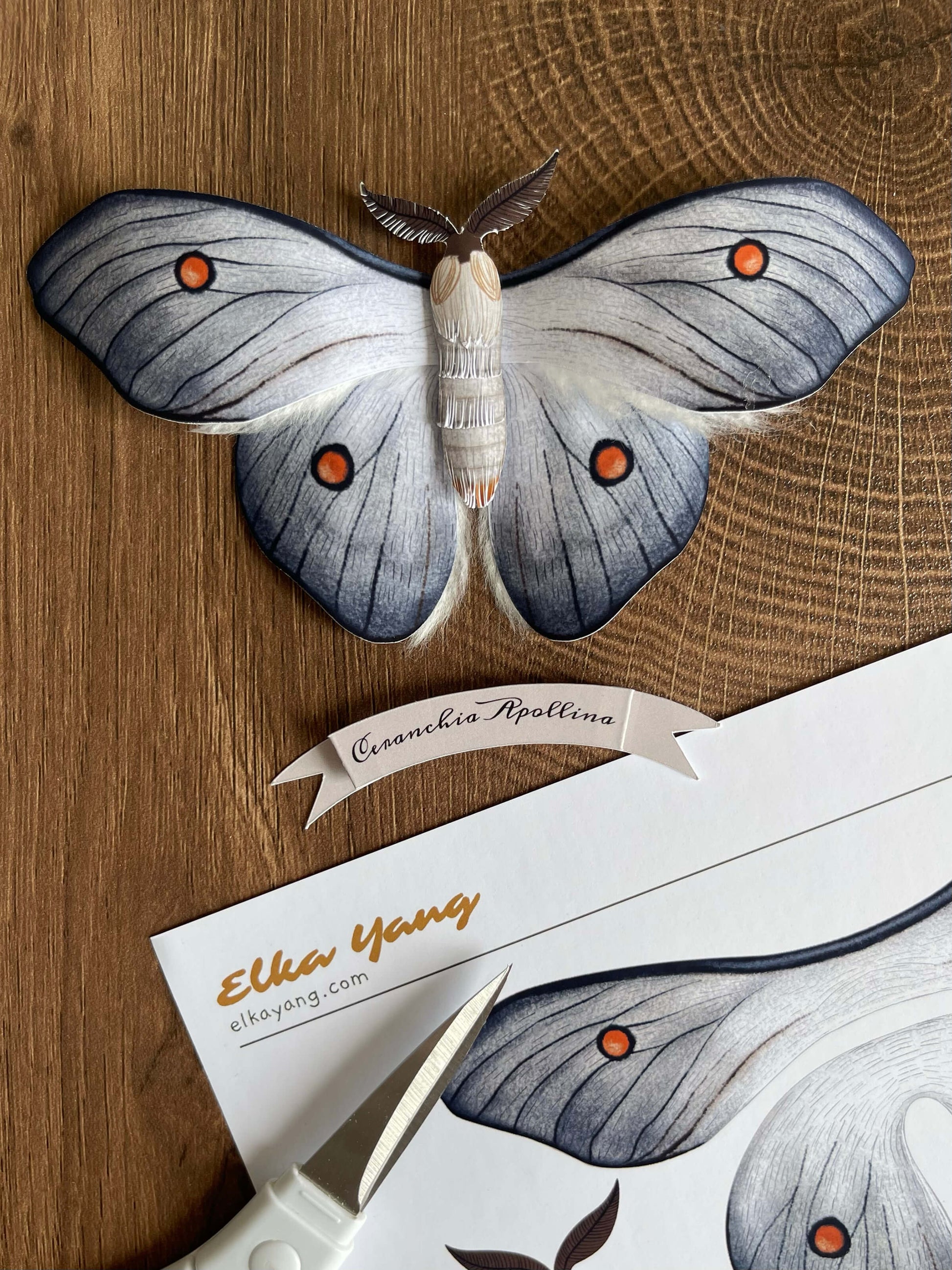 Paper Carft Ghostly Silkmoth Template and Tutorial