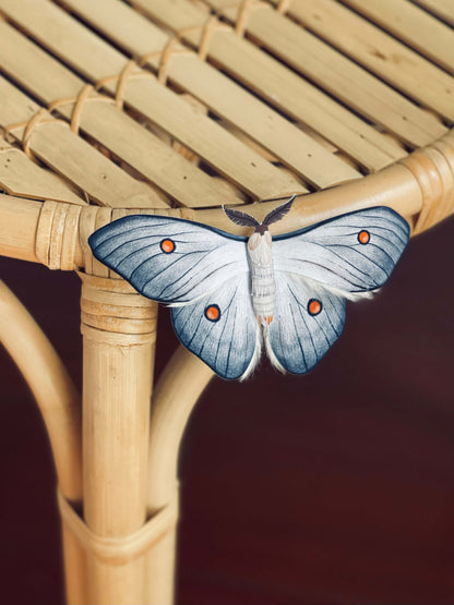 Paper Ghostly Silkmoth