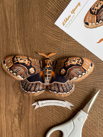 Paper Craft Owl Moth Template and Tutorial
