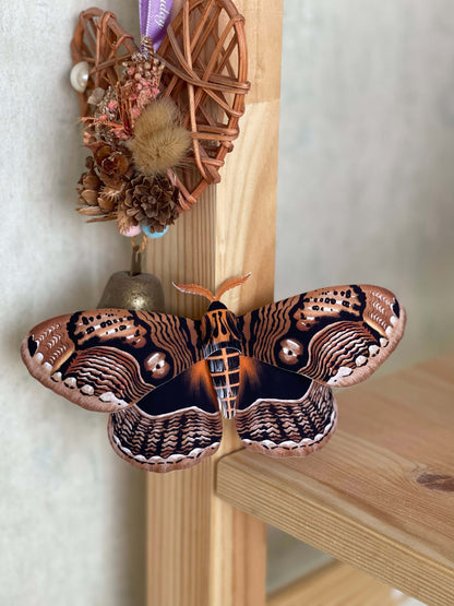 Paper Owl Moth