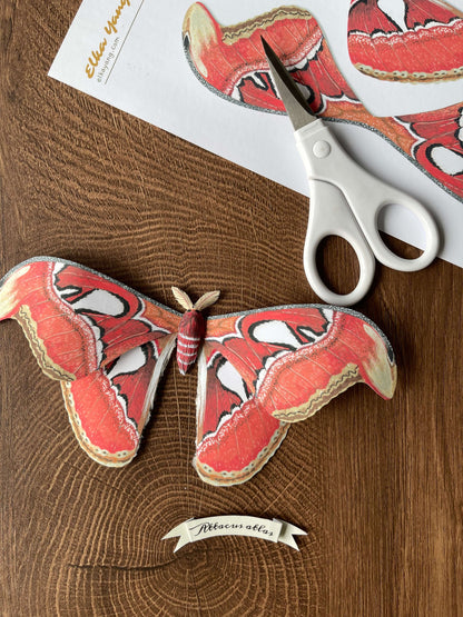Paper Moth, Realistic paper Atlas moth made from template 