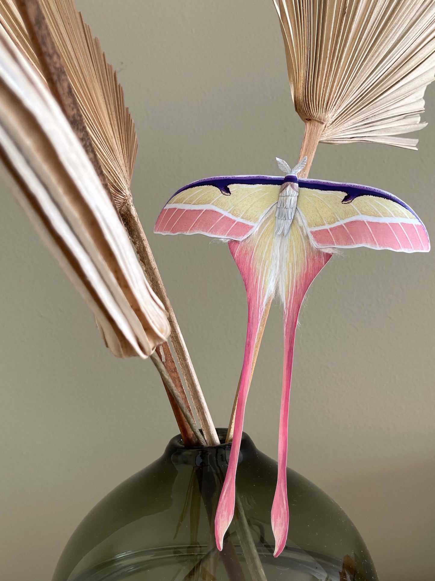 Chinese moon moth, Chinese luna moth made of paper