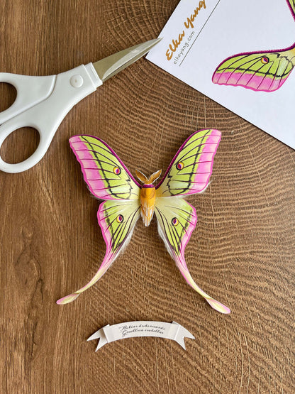 Paper Moth, Paper Hybrid Moon Moth, Rare Hybrid Luna Moth Made of Paper