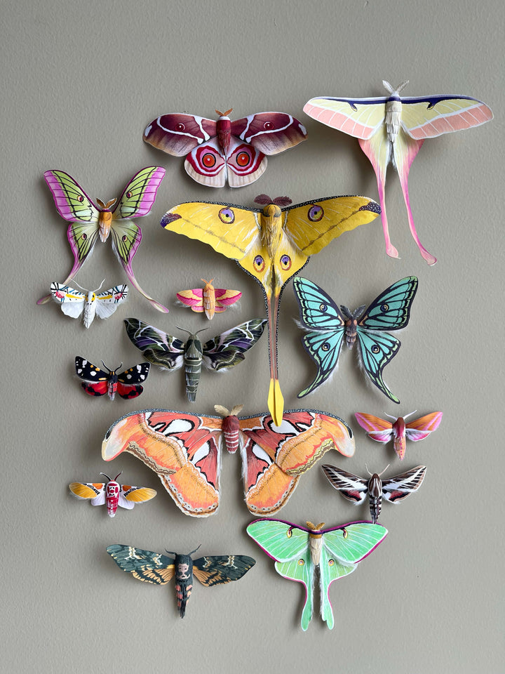 Elka Yang | Paper Moth, Paper Dolls, papercraft templates, and more