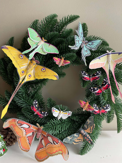 Paper Moth Bundle by Elkayang