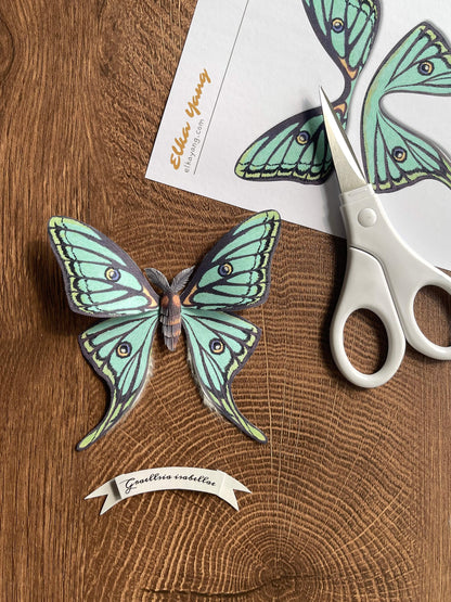 Paper Moth, Paper Spanish Moon Moth, Spanish Luna Moth