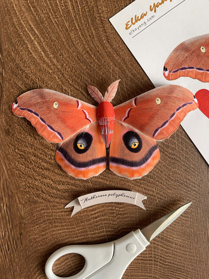 DIY Paper Polyphemus Moth