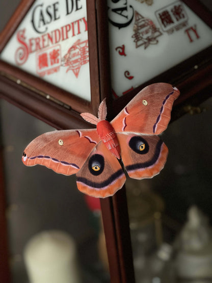 DIY Paper Polyphemus Moth