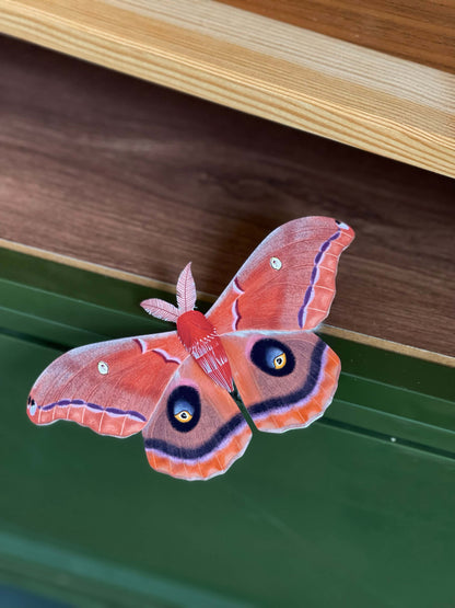 DIY Paper Polyphemus Moth