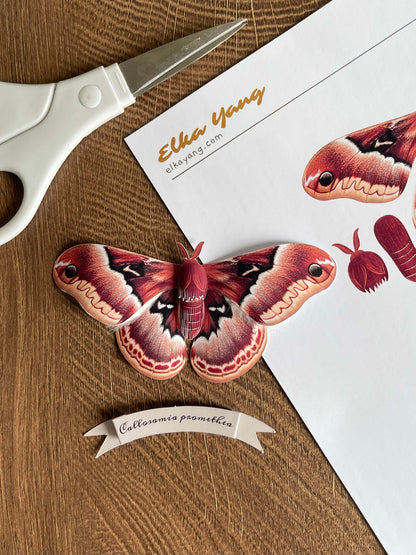DIY Paper Promethea Moth Tutorial