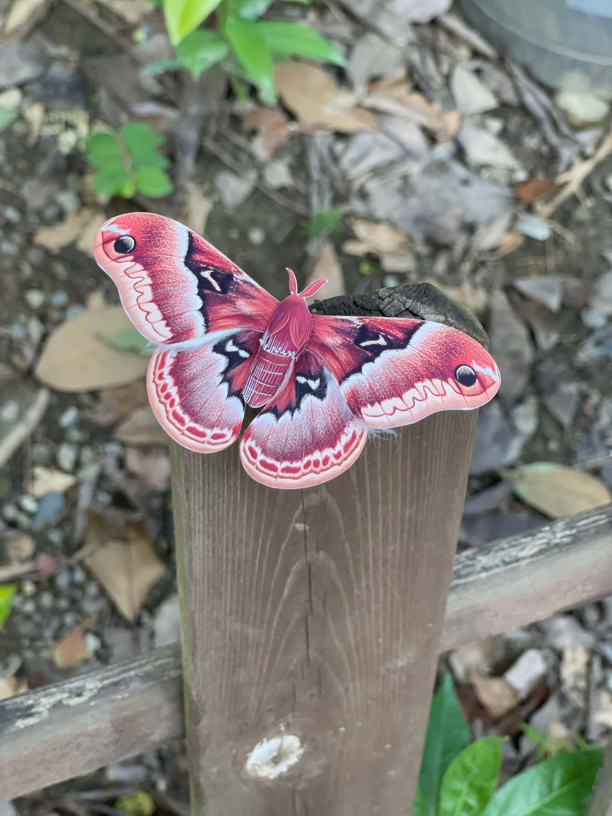 DIY Paper Promethea Moth on a wooden post with a natural background