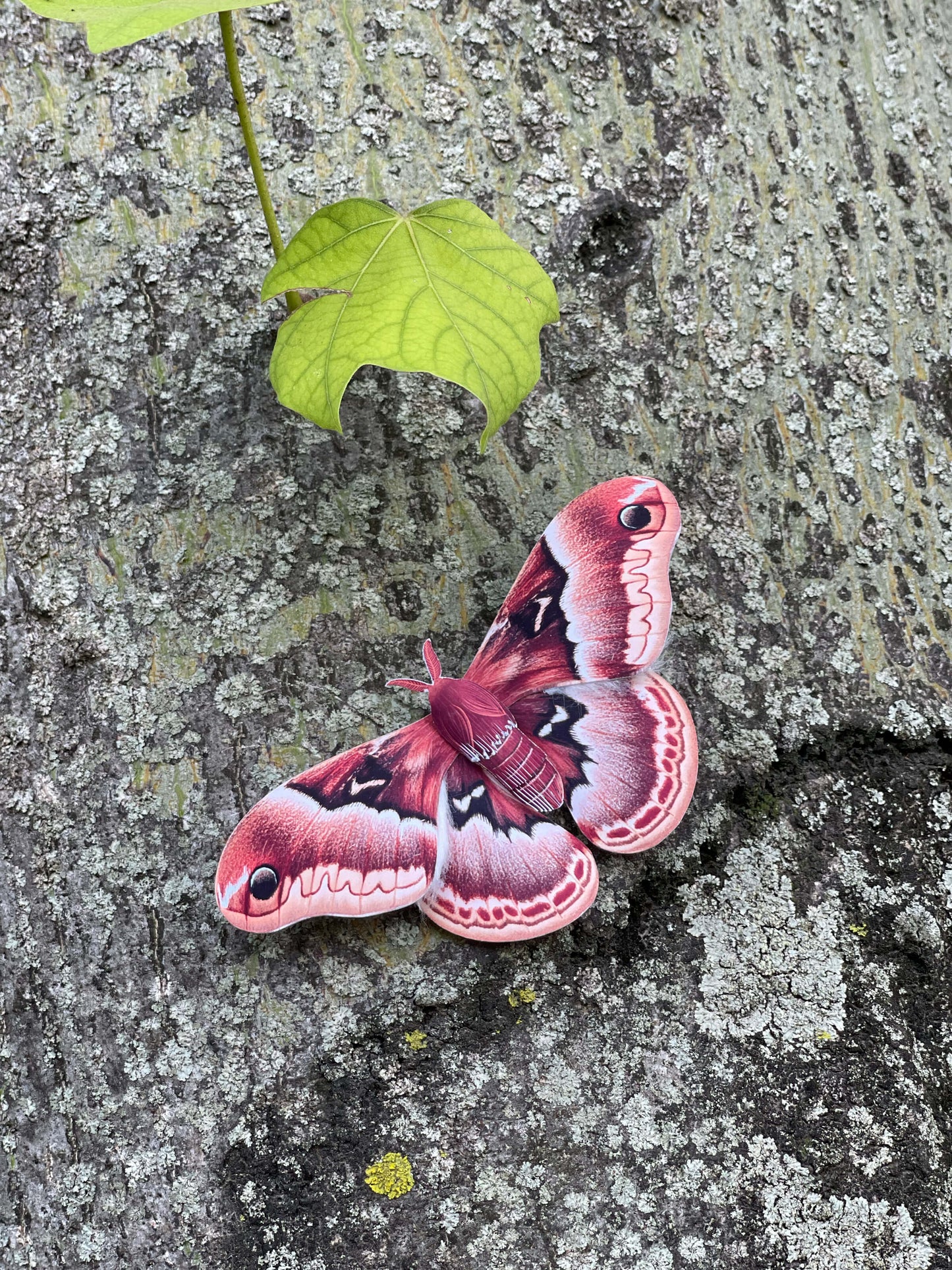 DIY Paper Promethea Moth on a tree stump 