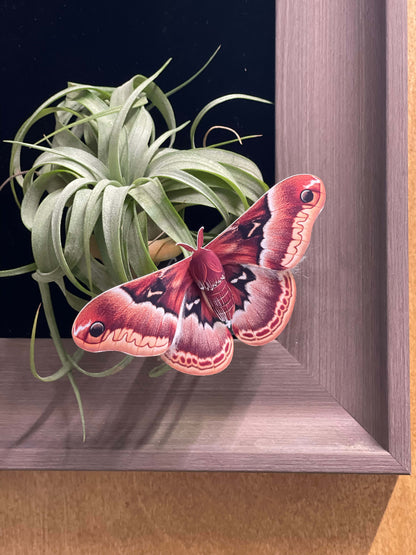 DIY Paper Promethea Moth on green plant on a dark background