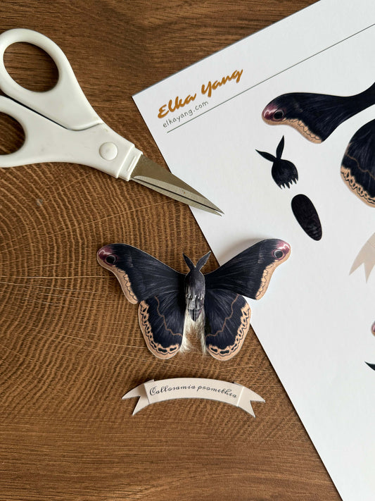 DIY Paper Promethea Moth Pattern, Paper Butterfly Template
