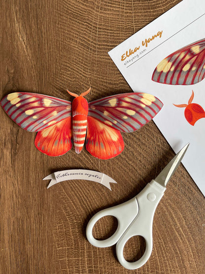 DIY Paper Regal Moth
