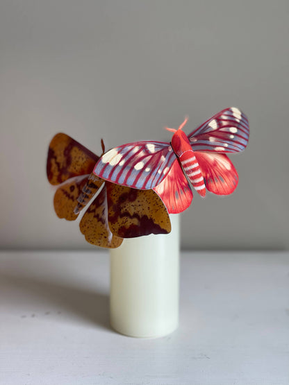 DIY Paper Regal Moth on a white  candle against a plain background.