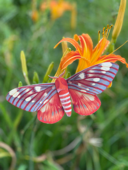 DIY Paper Regal Moth on an orange flower with a green background