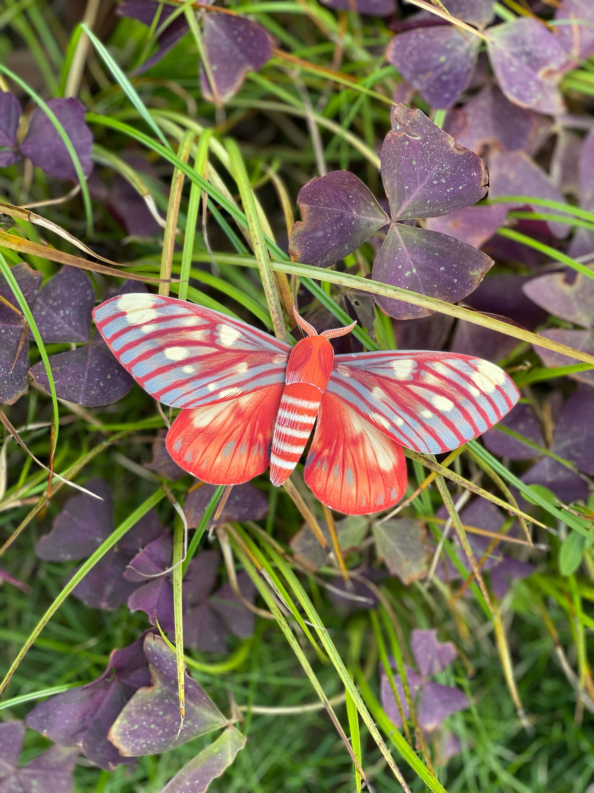 DIY Paper Regal Moth on purple clover leaves