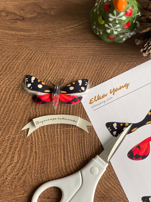 Paper Scarlet Tiger Moth, Christmas Moth