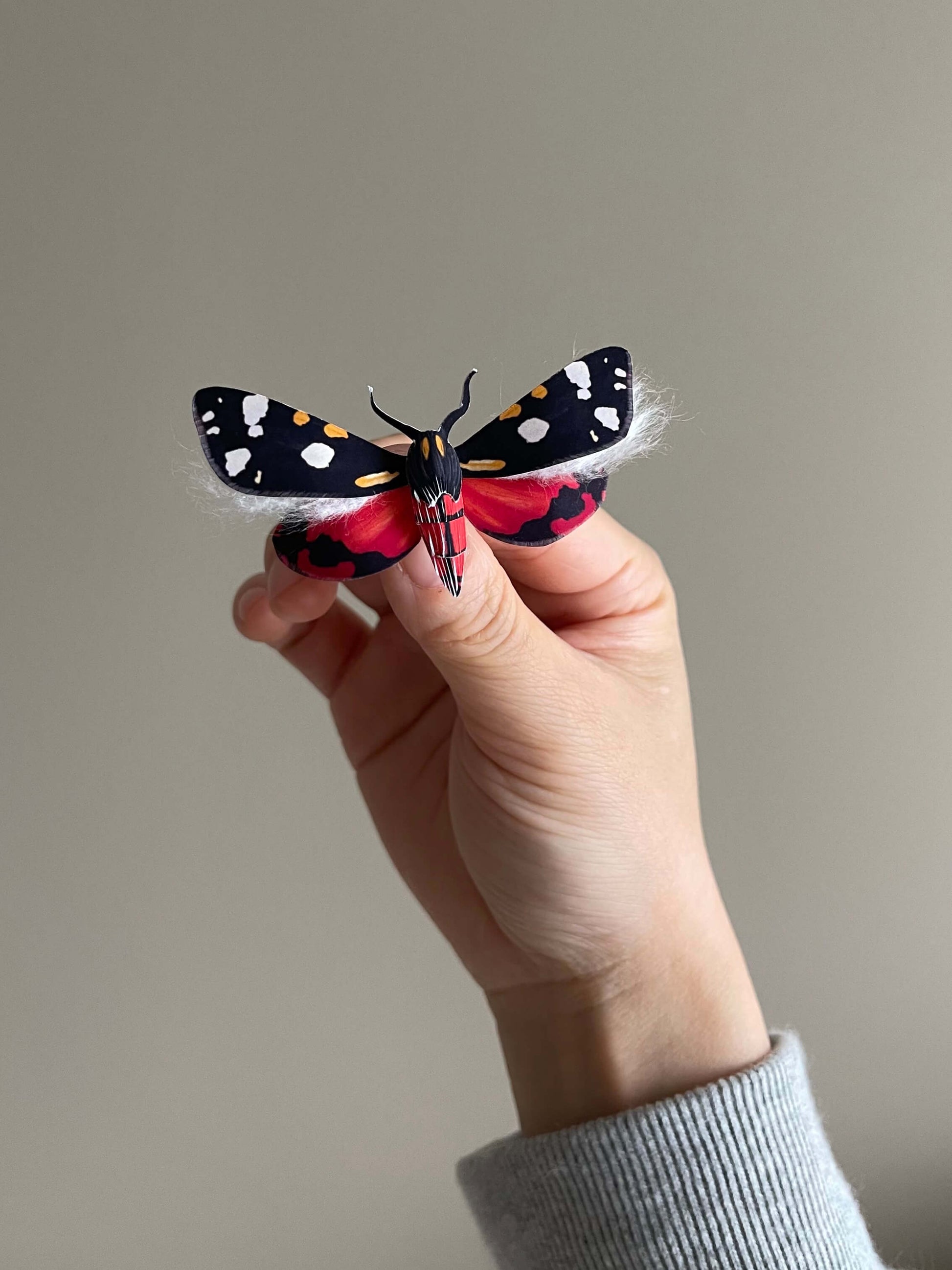 Paper Moth, Hoding a Paper Scarlet Tiger Moth, Christmas Moth