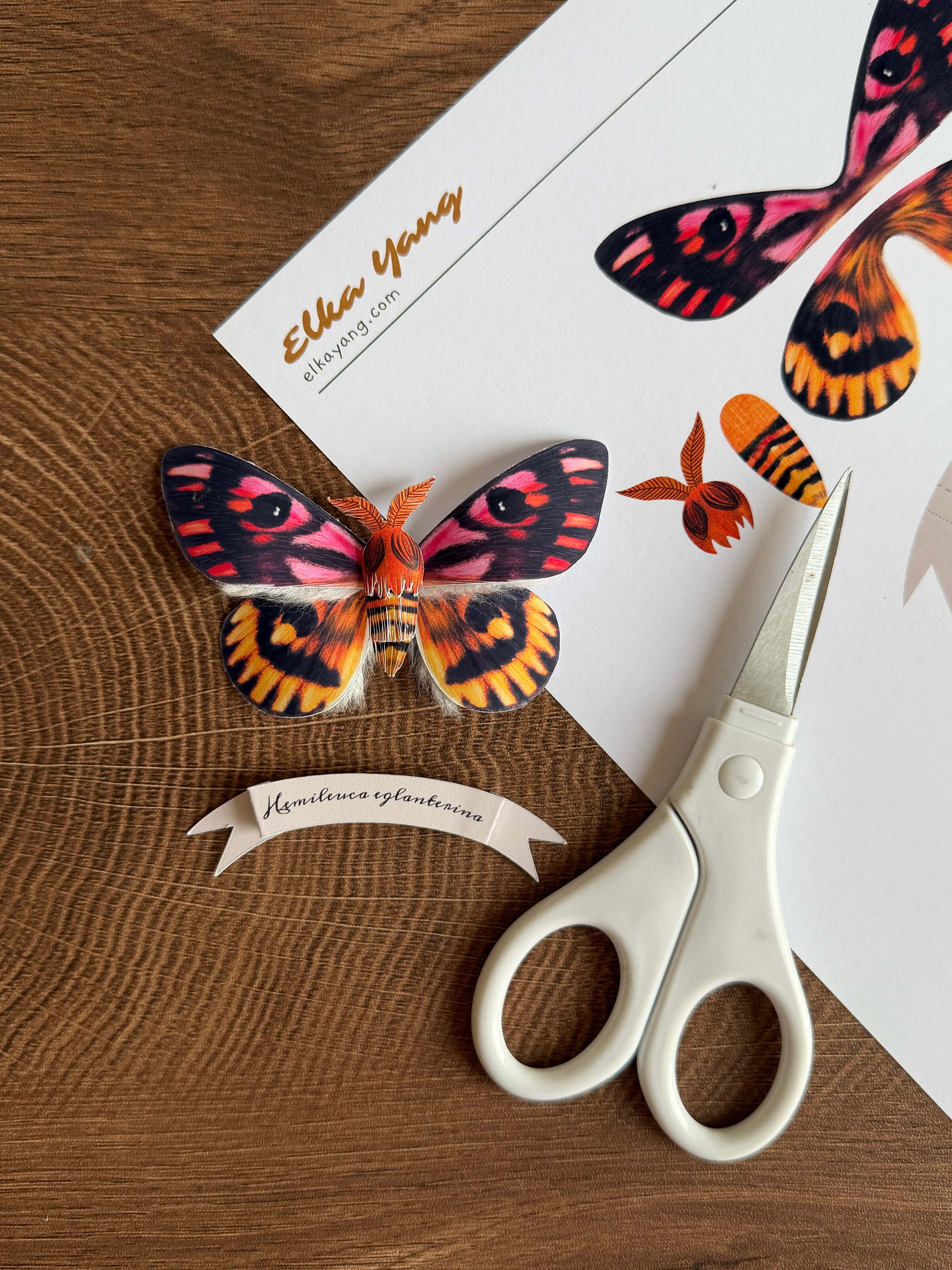 DIY Paper Sheep Moth Template, Paper butterfly pattern