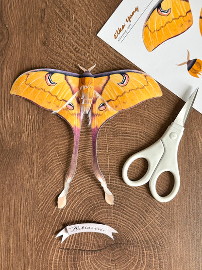 Female Sulawesi Moon Moth made of PAPER, Downloadable PDF Template