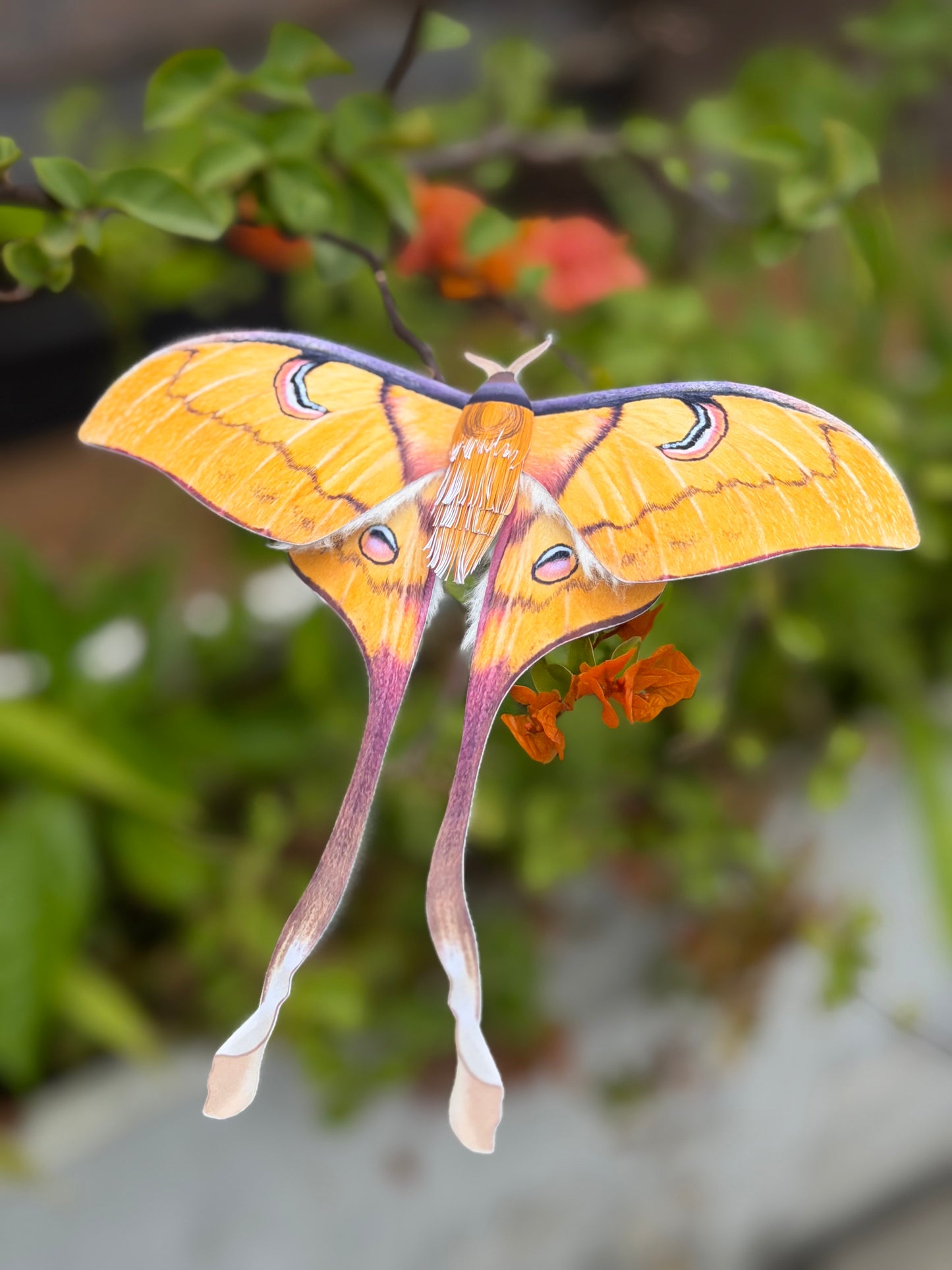 Female Sulawesi Moon Moth made of PAPER on a blurred natural background