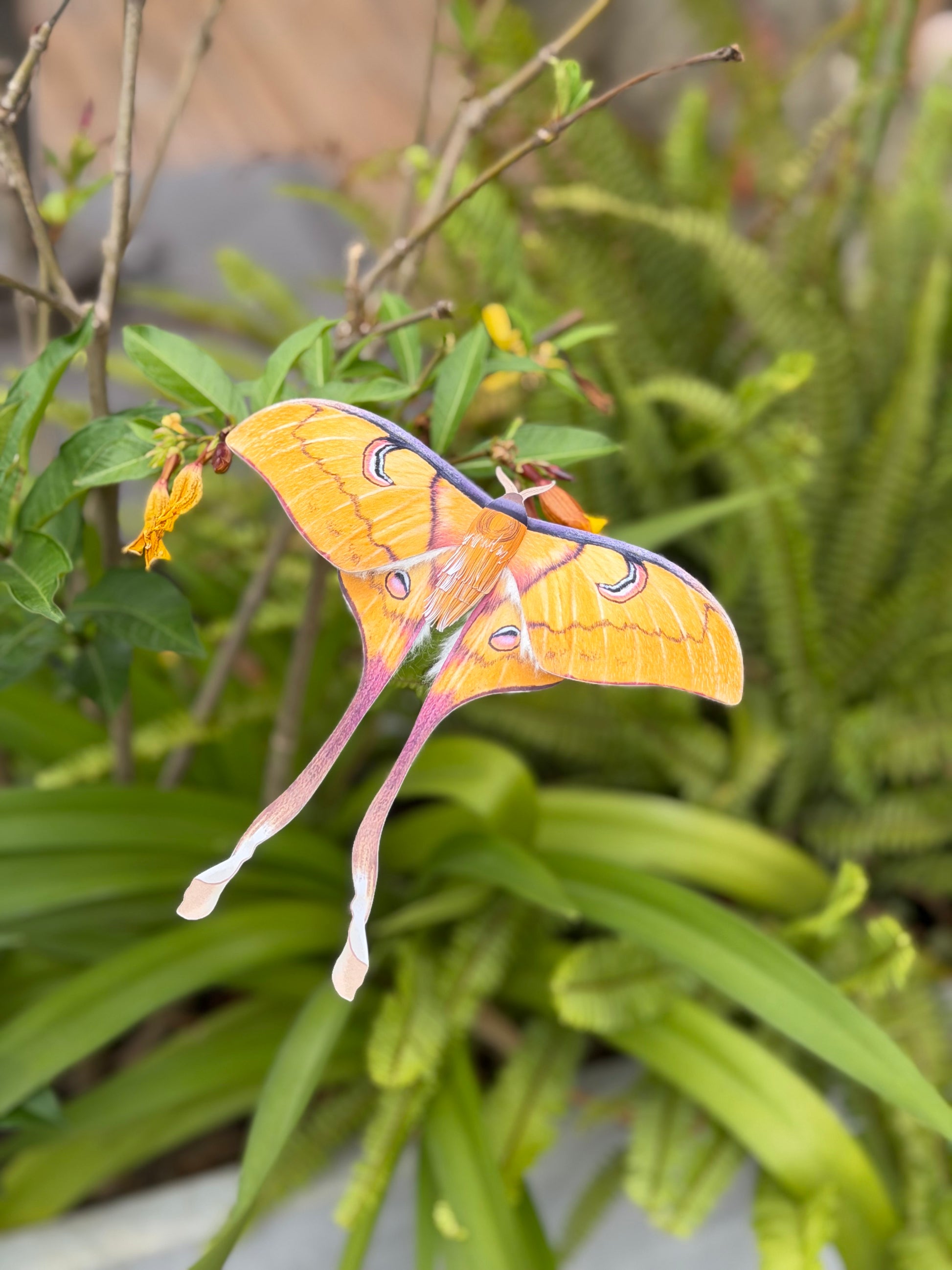 Female Sulawesi Moon Moth made of PAPER on a green leafy background
