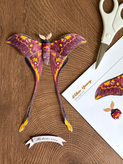 Male Sulawesi Moon Moth made of PAPER, Downloadable PDF Template