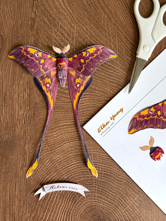 Male Sulawesi Moon Moth made of PAPER, Downloadable PDF Template