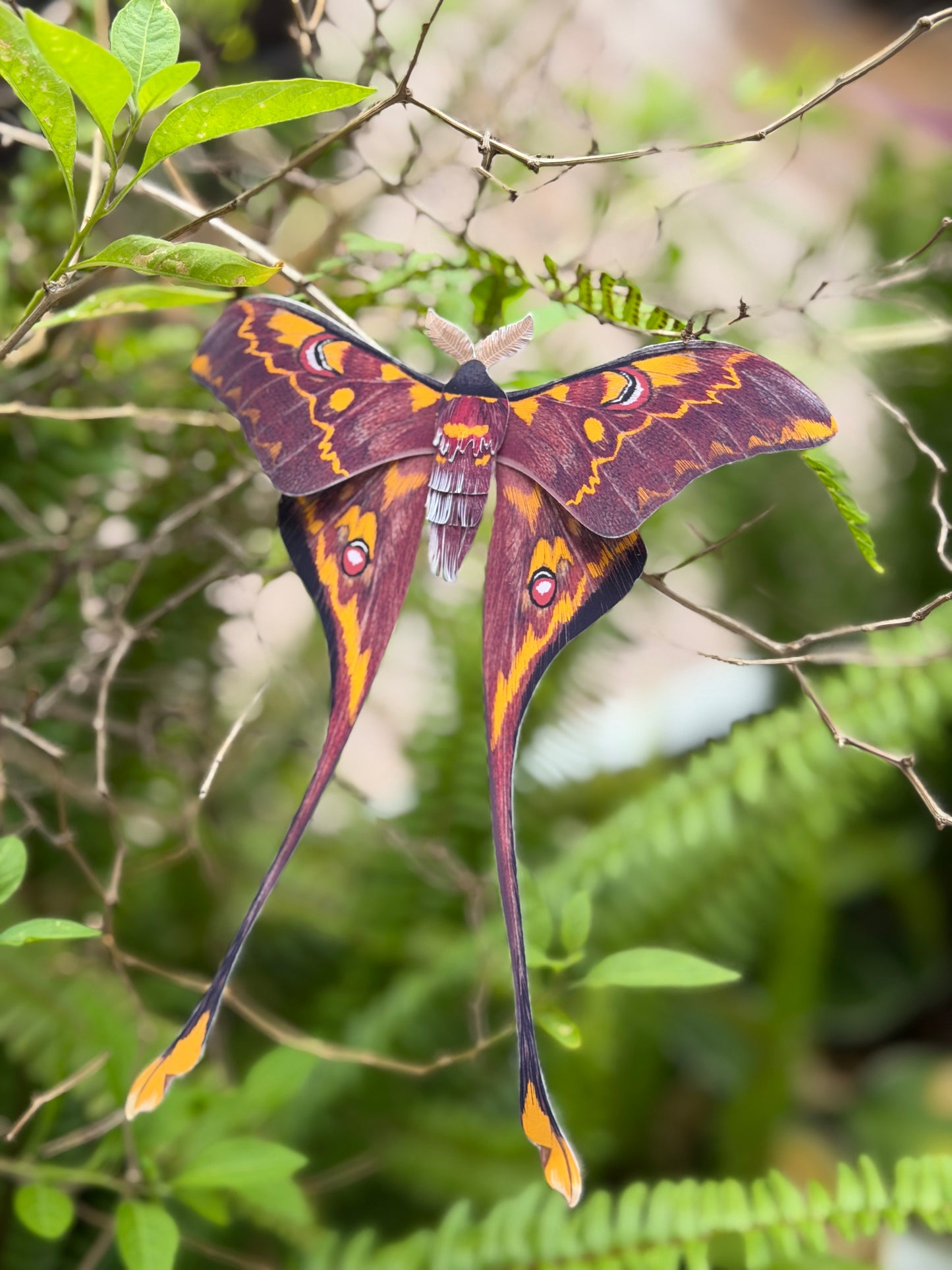 Male Sulawesi Moon Moth made of PAPER on a branch with a natural green background