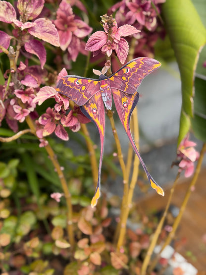 Male Sulawesi Moon Moth made of PAPER on a plant with pink flowers