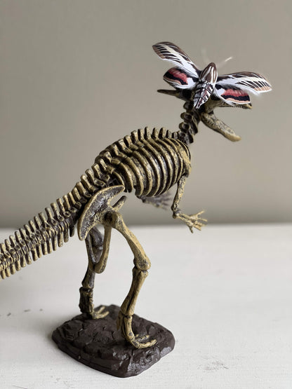 Paper Moth, Paper White-lined Sphinx Moth, AKA hummingbird moth, staying on a dinosaur skeleton