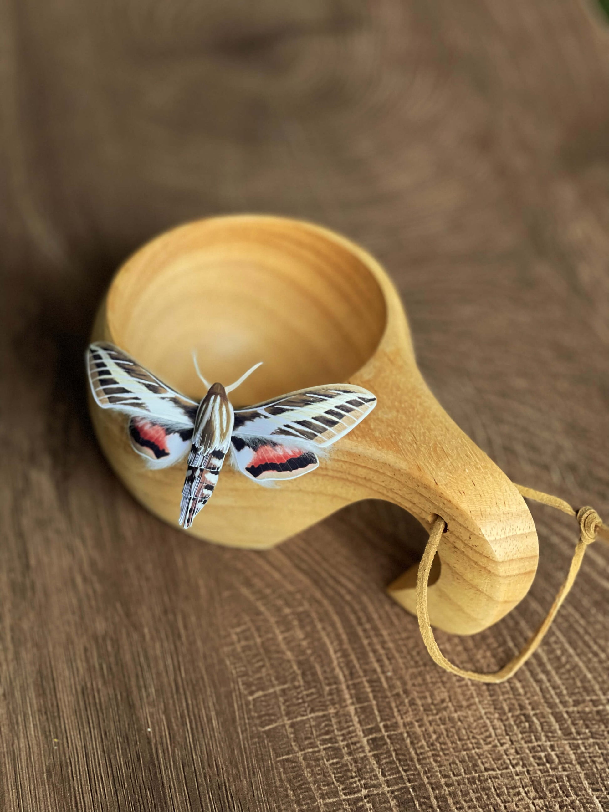 Paper White-lined Sphinx Moth, AKA hummingbird moth, staying on a mug