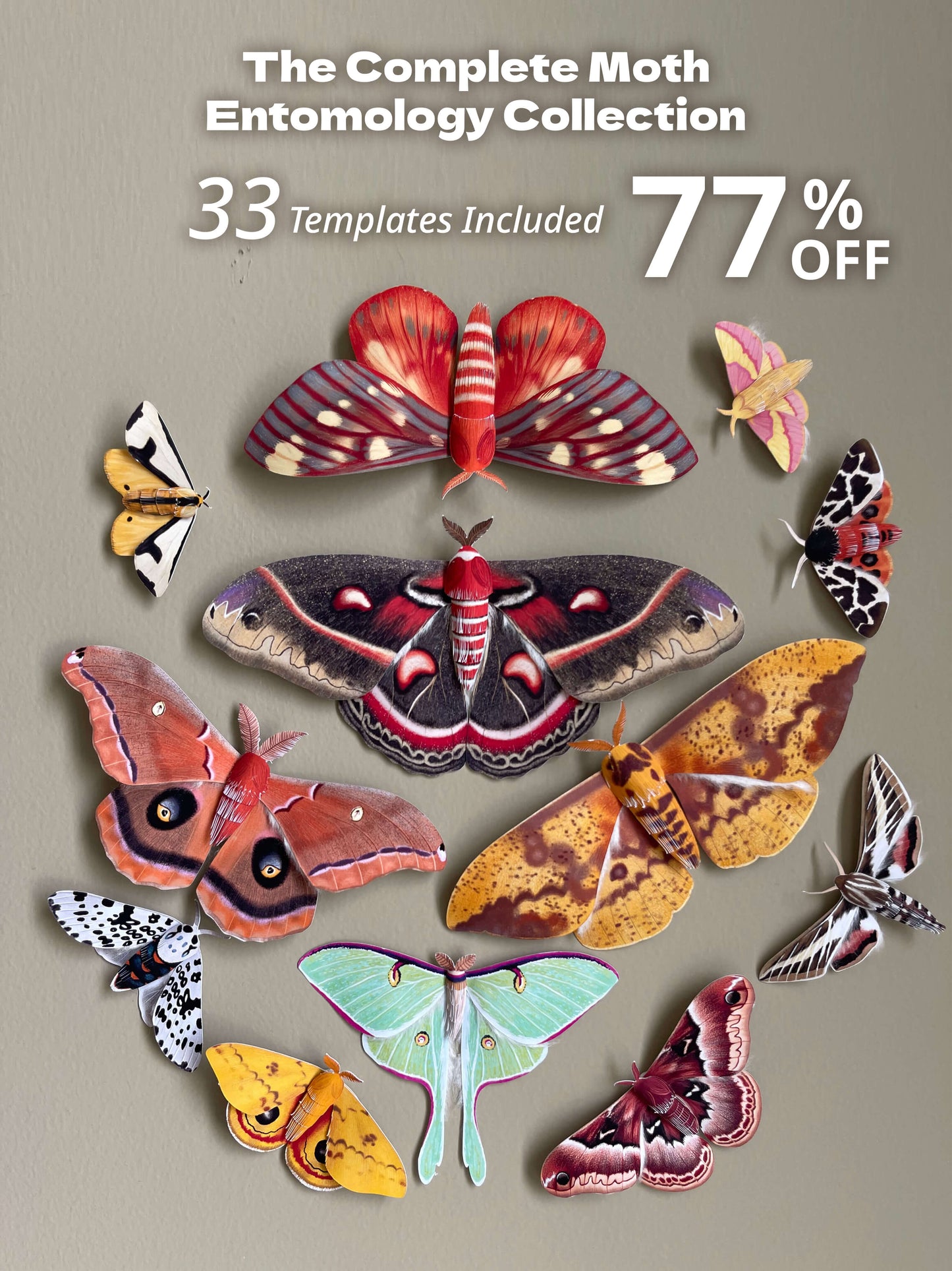 Collection of colorful moths on wall, all 33 paper moth bundle
