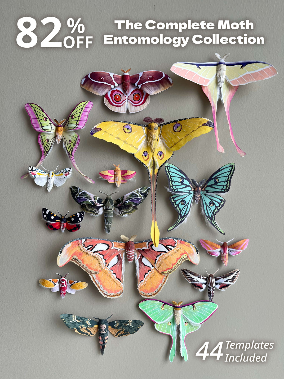 All 44 Paper Moths Bundle