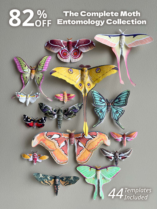 All 44 Paper Moths Bundle