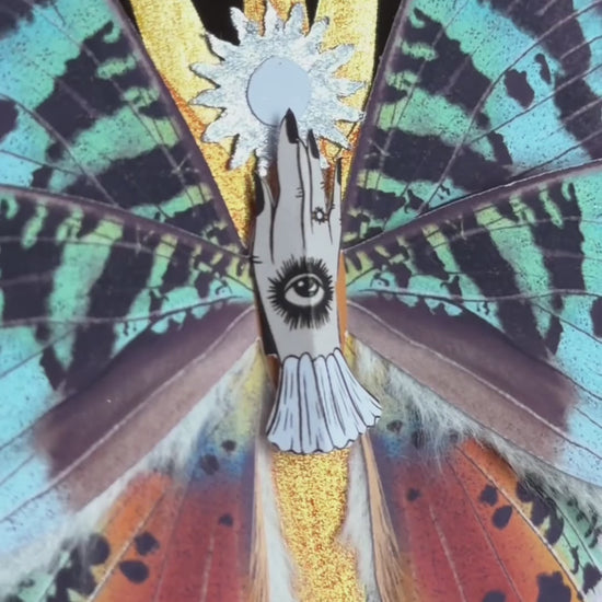 Madagascar Ray, Fantasy Paper Moth ased on Madagascan Sunset Moth