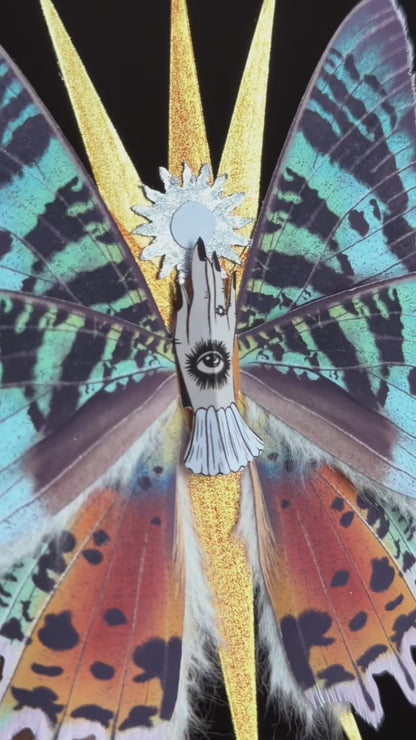 Madagascar Ray, Fantasy Paper Moth ased on Madagascan Sunset Moth