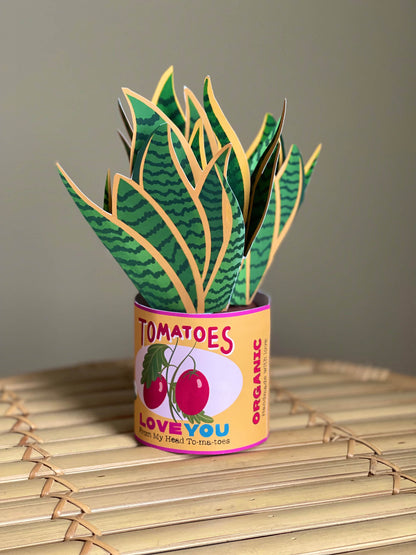 Snake Plants Pop Up Card