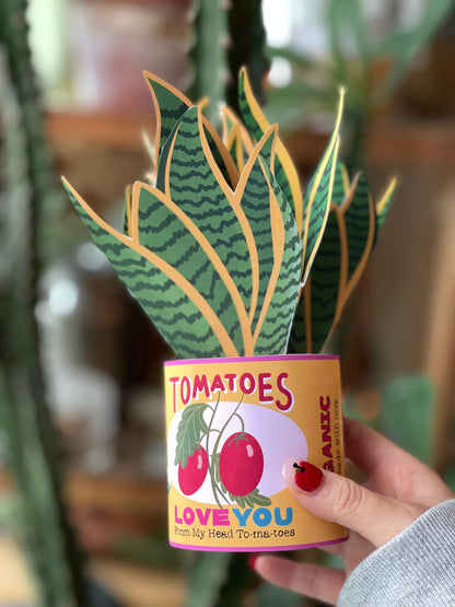 Snake Plants Pop Up Card